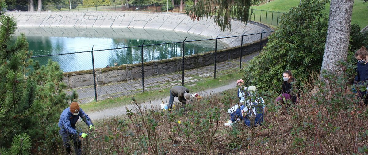 2nd Saturday Work Party in Volunteer Park