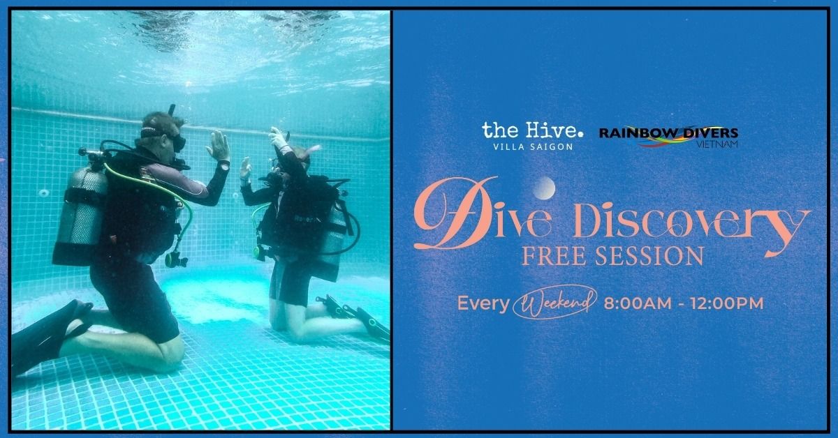 Dive Discovery: FREE SESSION