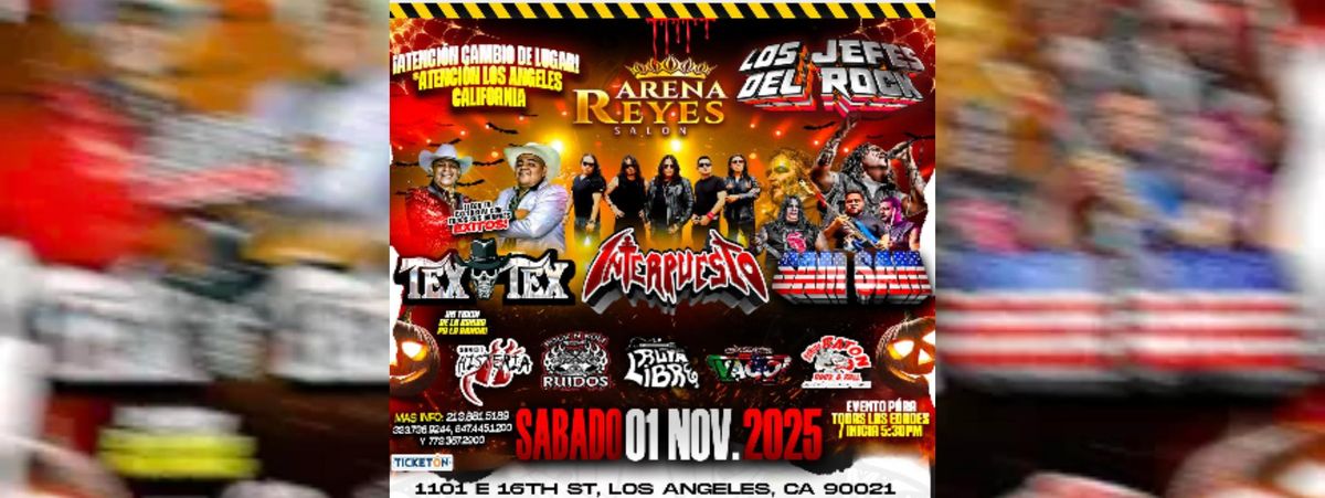 TEX TEX, INTERPUESTO & M\u00c1S