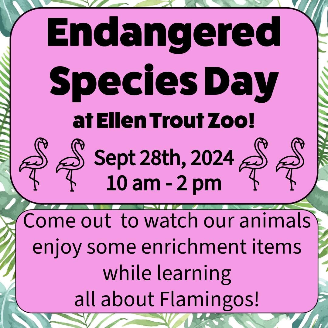 Endangered Species Day Enrichment Extravaganza!