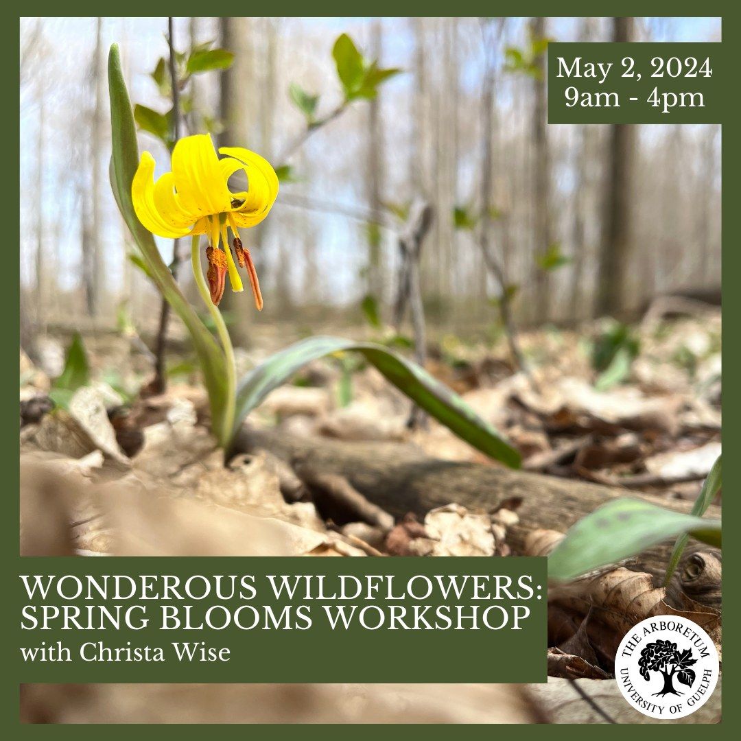 Wonderous Wildflowers: Spring Blooms Workshop      
