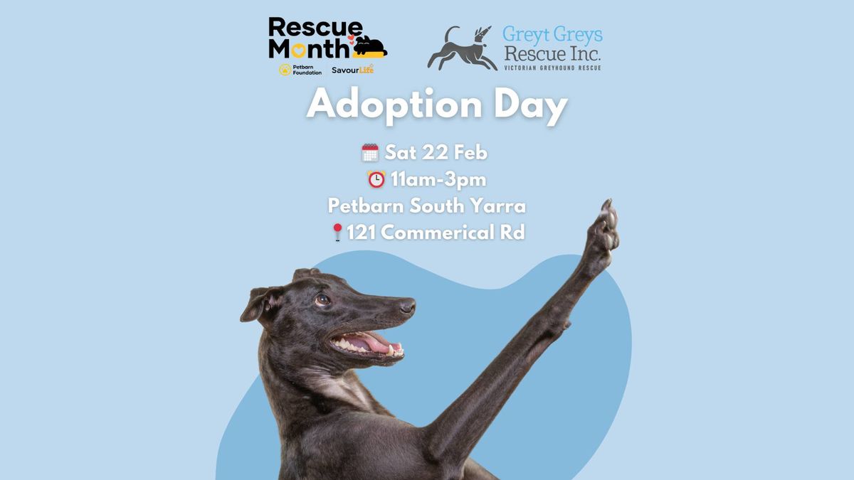 Adoption Day @ Petbarn South Yarra!