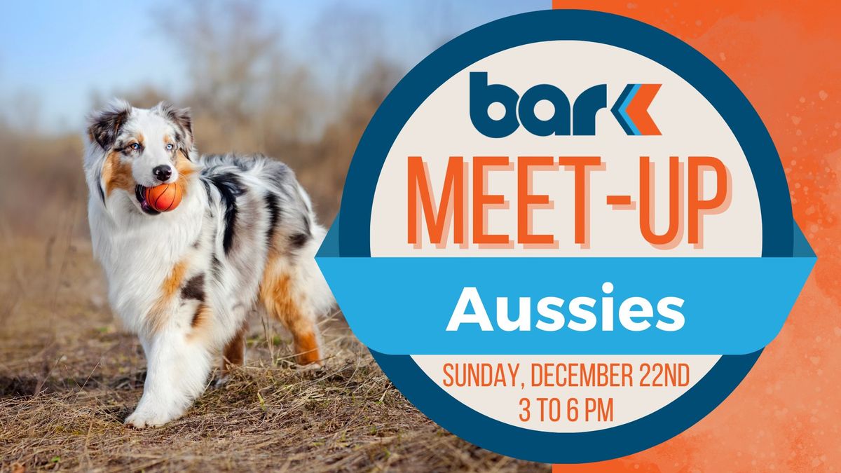 Breed Meet-Up: Aussies