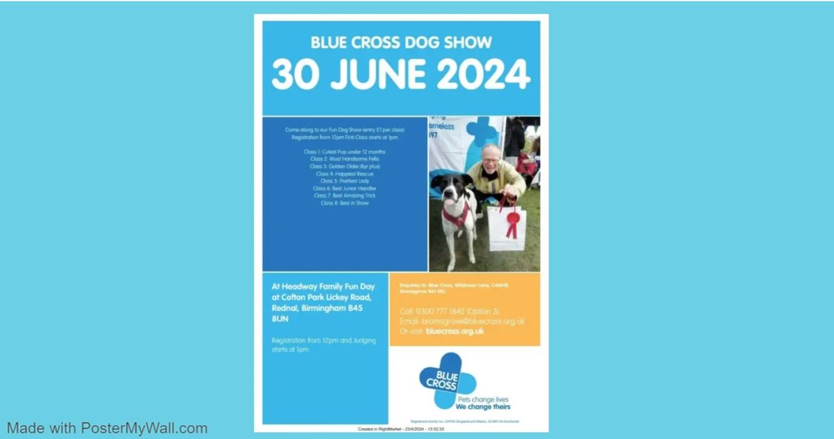 Blue Cross Dog Show at Headway Family Fun Day