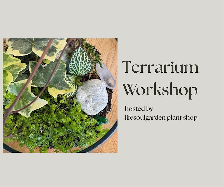 Terrarium Workshop