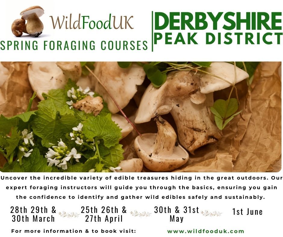 Derbyshire, Peak District Spring Foraging Courses