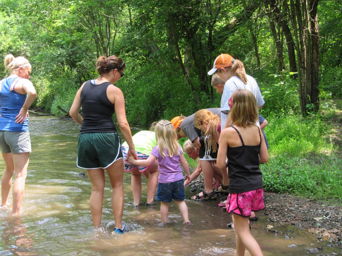 Welcome to your Watershed