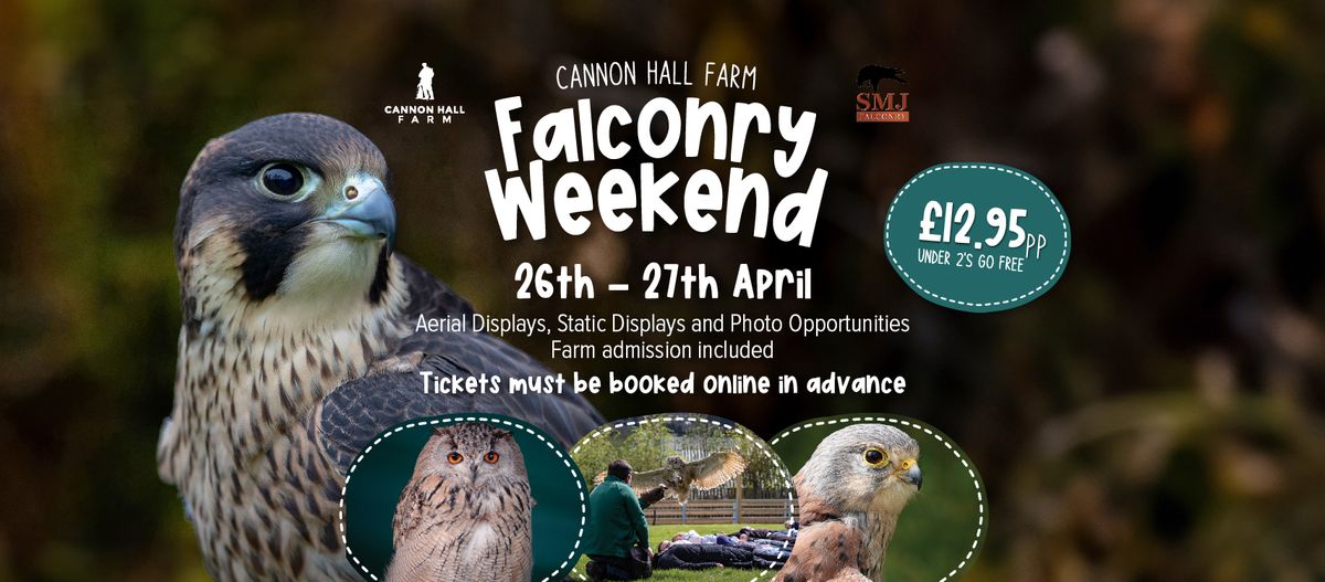 Falconry Weekend at Cannon Hall Farm