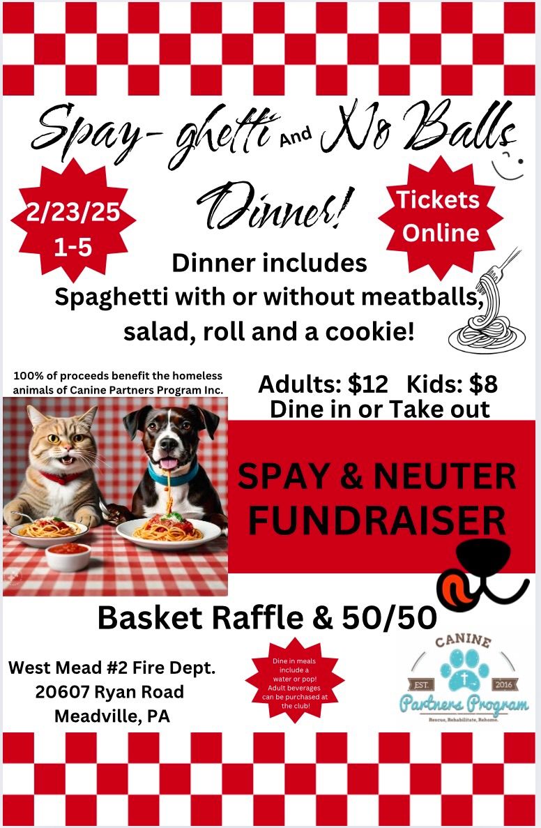 Spay-Ghetti and No Balls Dinner