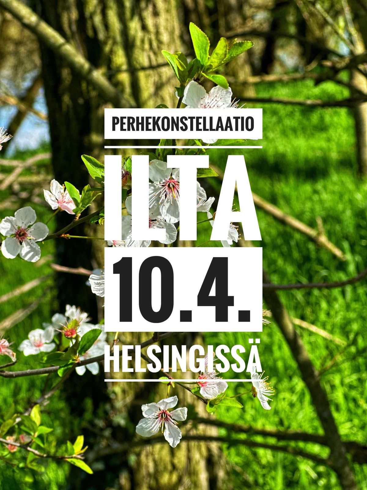 Perhekonstellaatioilta Helsingiss\u00e4