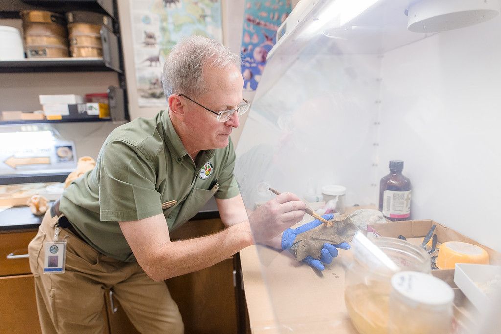 MS Museum of Natural Science - Noon Lecture Series 