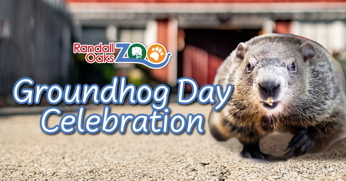 Groundhog Day Celebration