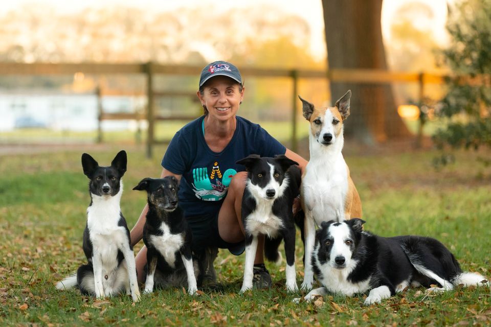 Bridget Thomas Agility Seminar March 2024, Morningstar's Clever K9s