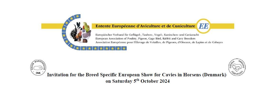 EE Breed Specific Cavy show in Denmark 5th oct. 2024