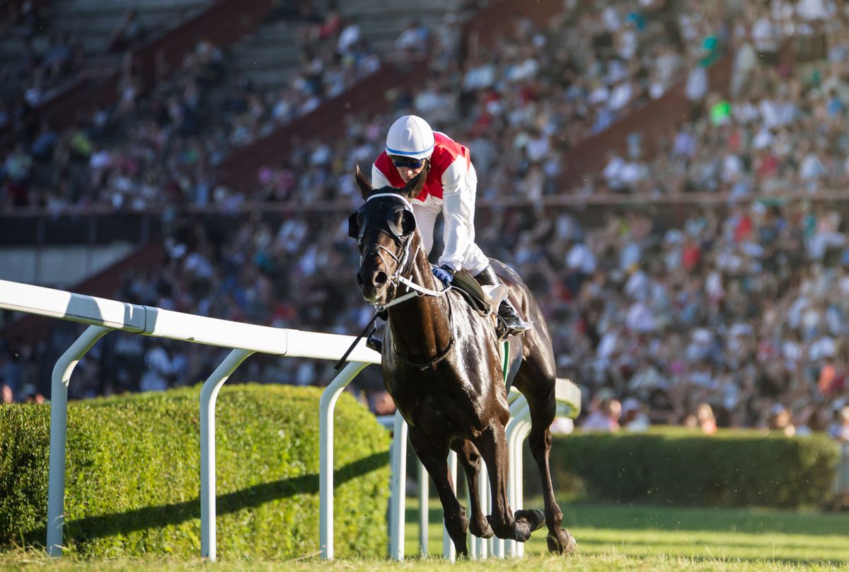 Santa Anita Horse Racing at Santa Anita Park