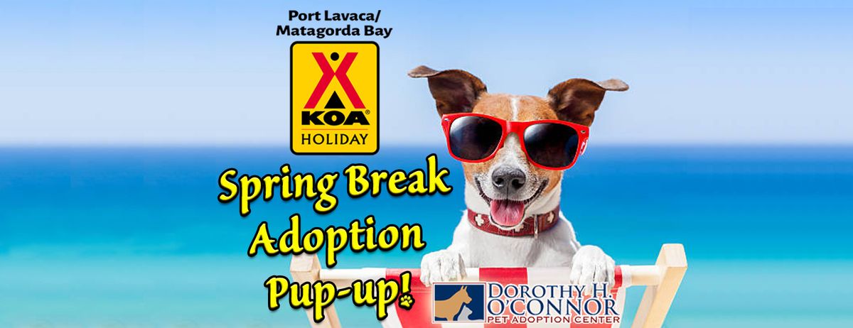 Spring Break Adoption Pup-up at Port Lavaca\/Matagorda Bay KOA Holiday!