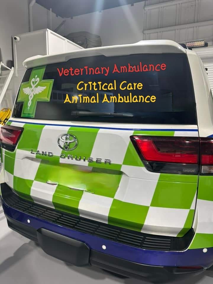 Pet Ambulance Service