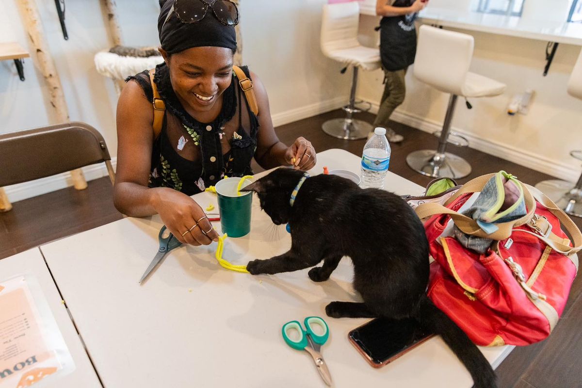 Crochet With Cats