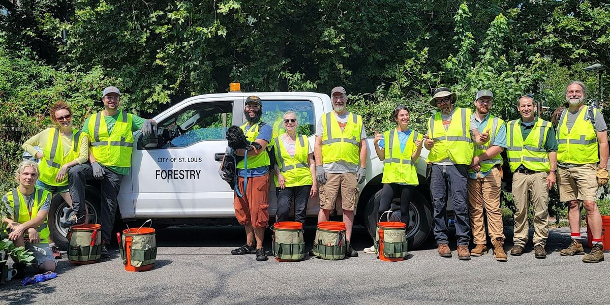 Benton Park Tree Care Blitz