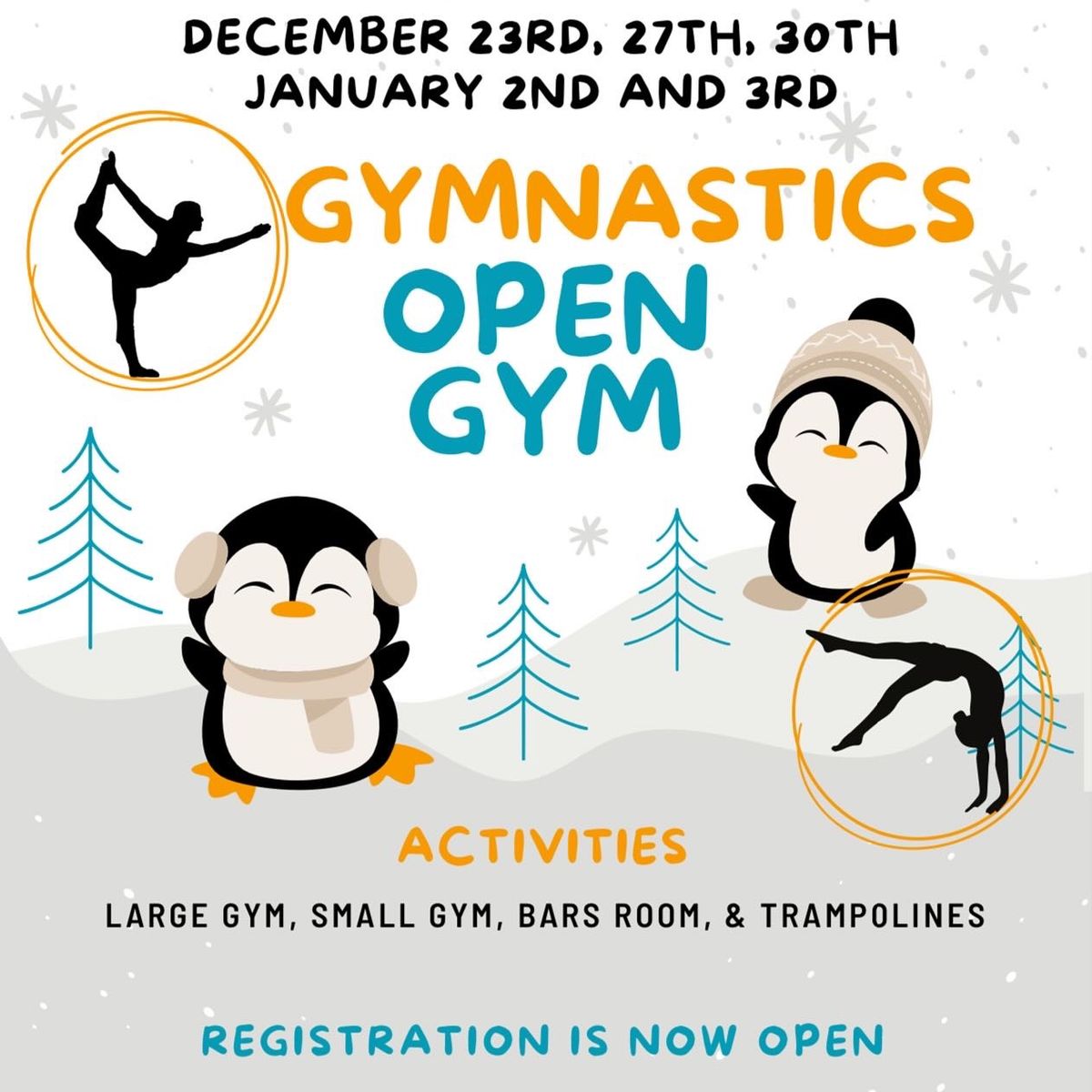 Winter Break Open Gyms