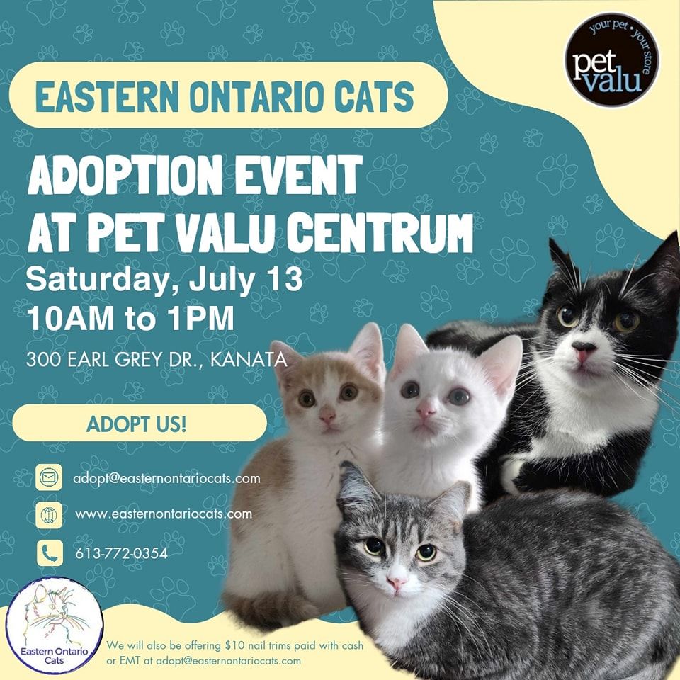 Eastern Ontario Cats Adoption Event at Pet Valu Centrum!