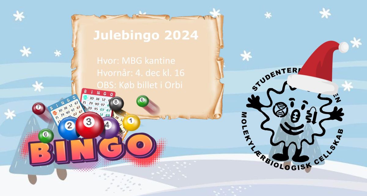 Julebingo 2024