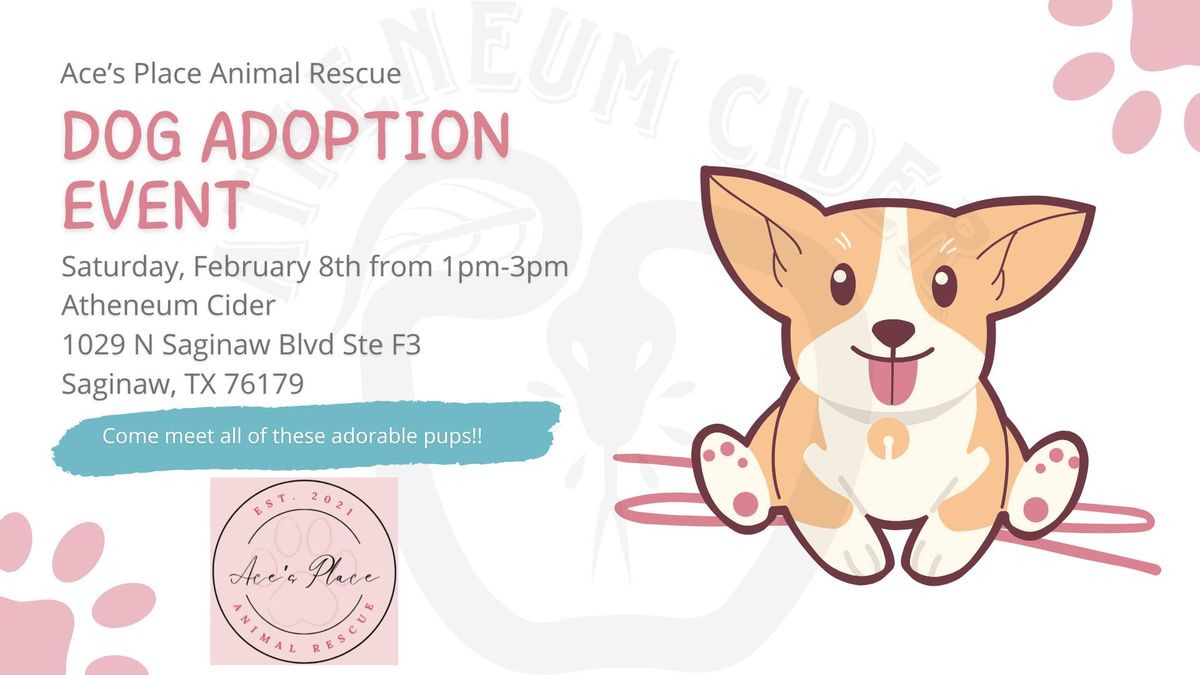 Dog Adoption Event!