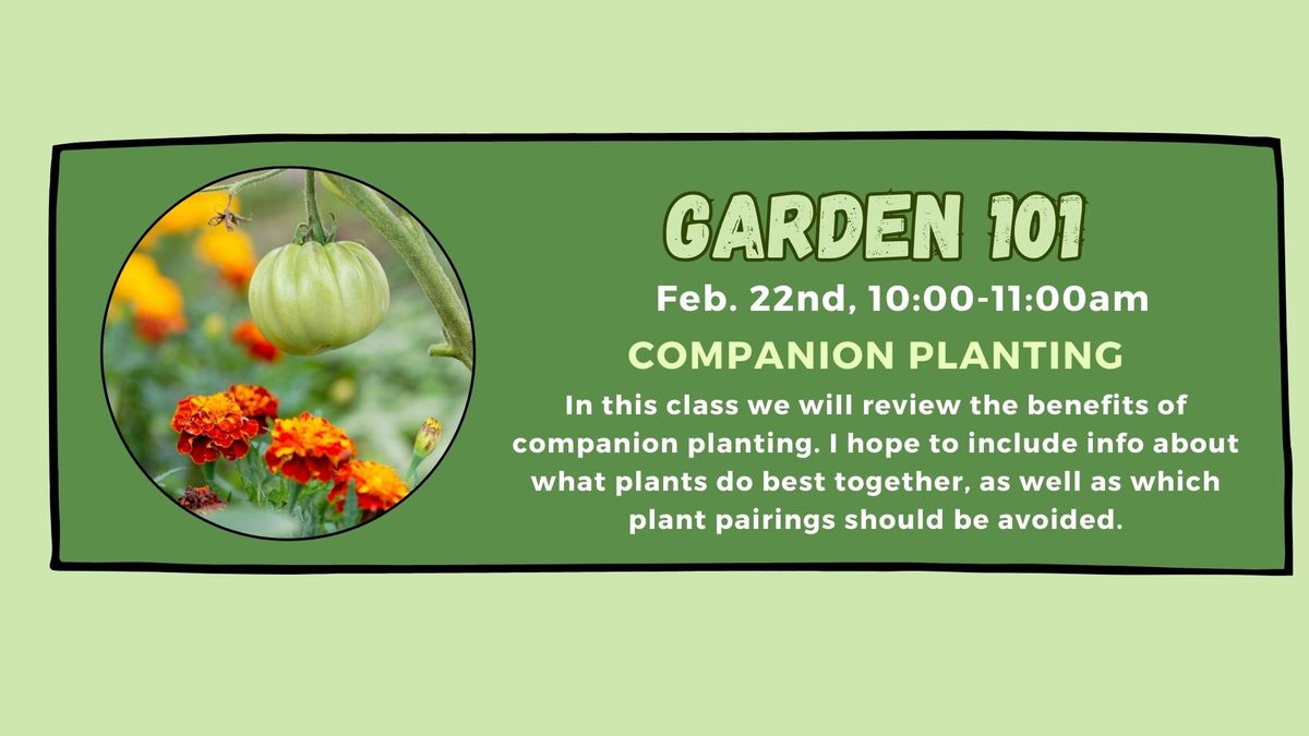 Companion Planting Saturday