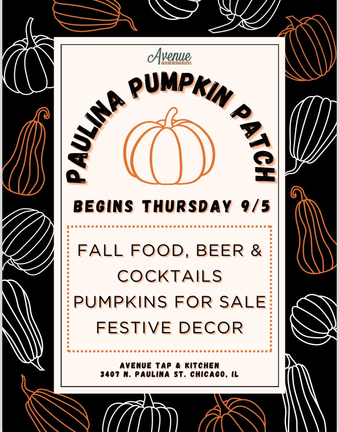 Paulina Pumpkin Patch! 