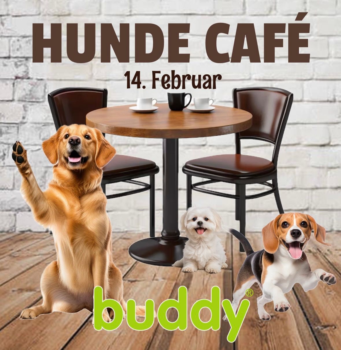 Hunde caf\u00e9 hos Buddy Ask\u00f8y ?