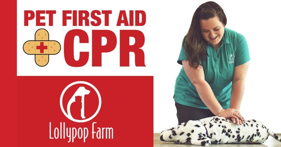 Pet First Aid & CPR