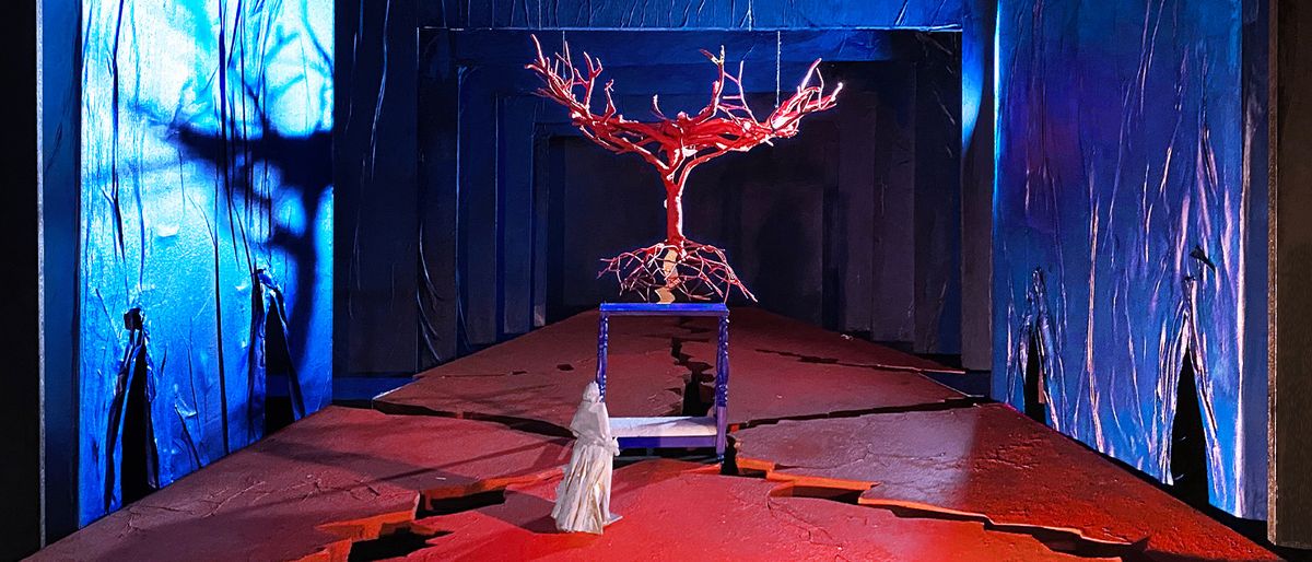 Metropolitan Opera: El Ultimo Sueno de Frida y Diego