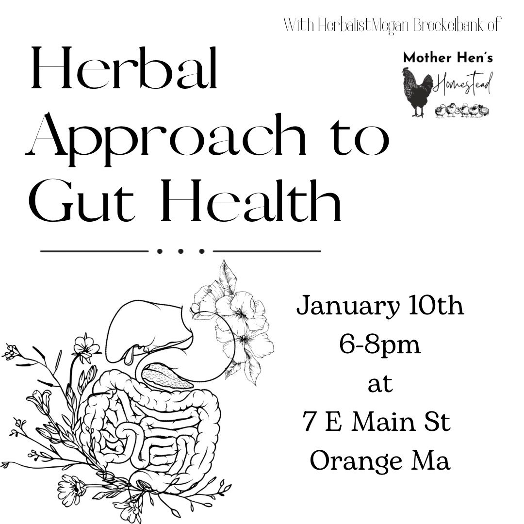 Herbal Approach to Gut Health