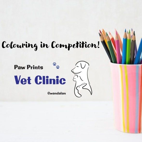 COLOURING IN COMPETITION ?