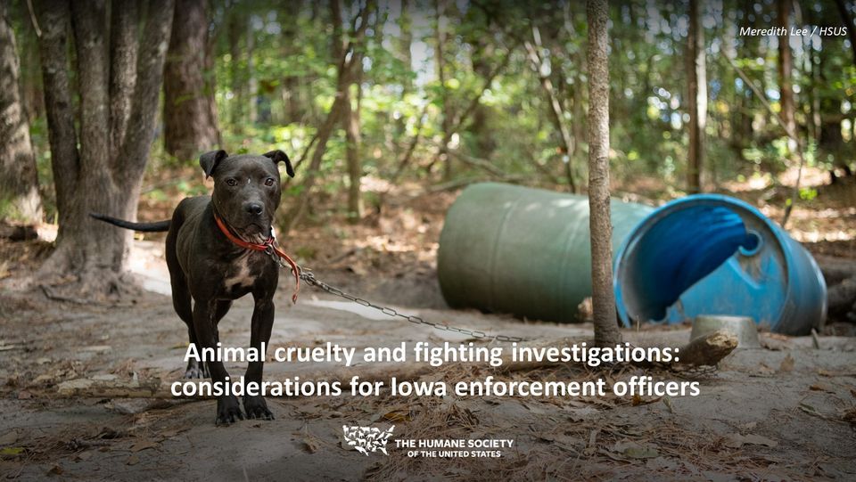 Animal cruelty and fighting investigations:  considerations for Iowa enforcement officers