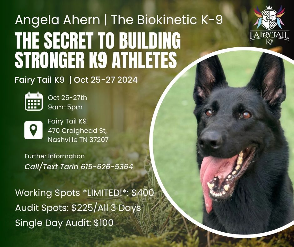 The Secret to Building Stronger K9 Athletes