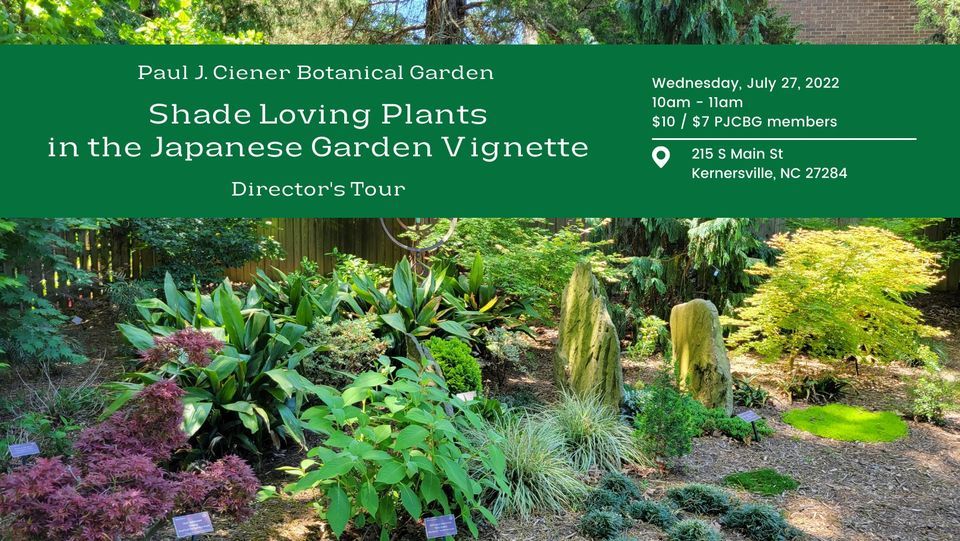 Director's Tour: Shade Loving Plants in the Japanese Garden Vignette