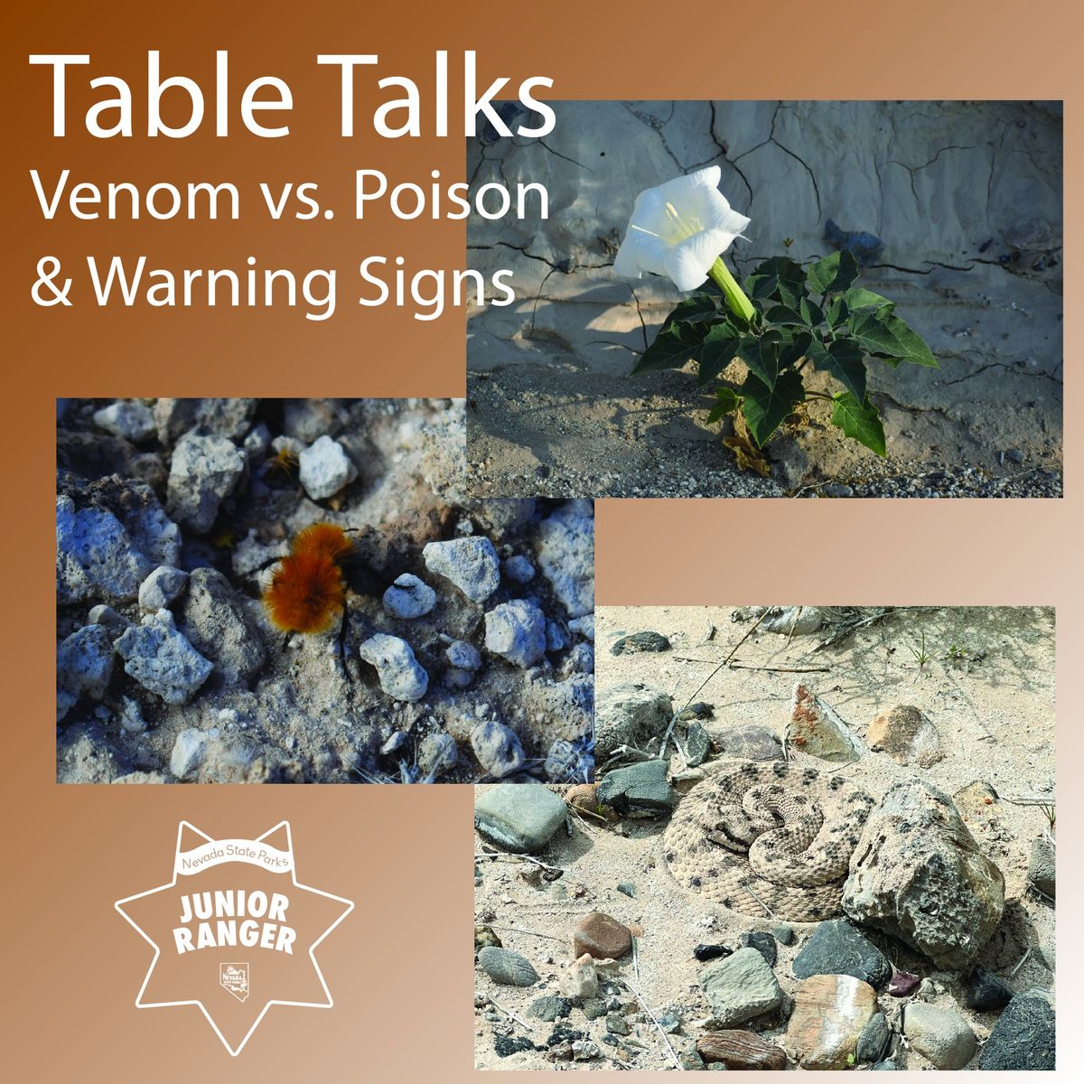 Table Talks: Venom vs. Poison & Warning Signs