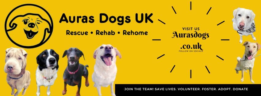 Aura's Dogs Charity Cinema: The Lion King & The Greatest Showman