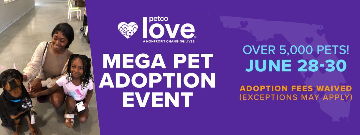 Mega Pet Adoption @ Petco!