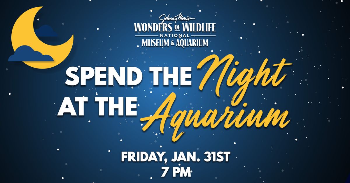 Spend the Night at the Aquarium