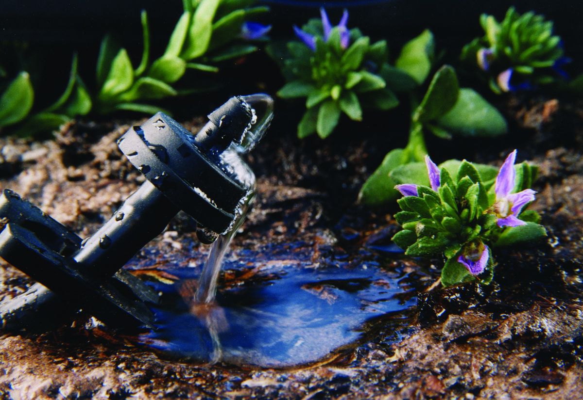 Free Class: Drip Irrigation