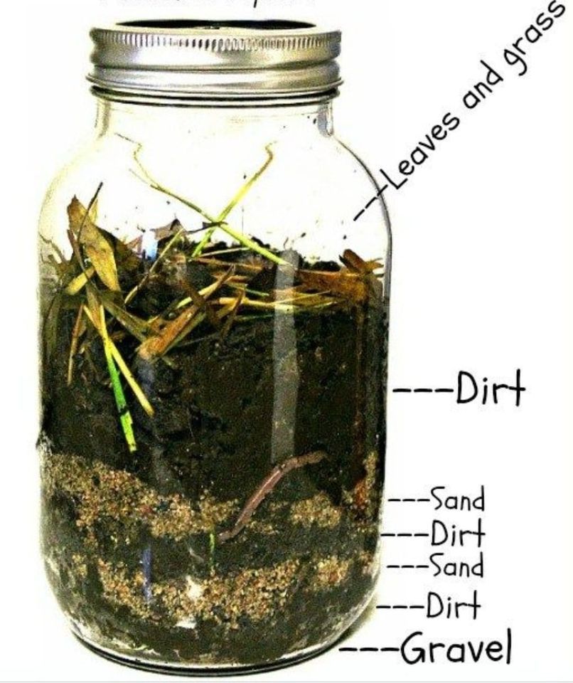 KIDS EVENT Create a WORMery, Rabbit Valley Farmers Market, Ringgold, 2