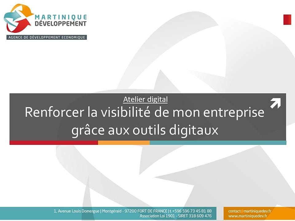 Atelier Digital Renforcer Sa Visibilite Grace Aux Outils Digitaux Martinique Developpement Fort De France 30 April 21