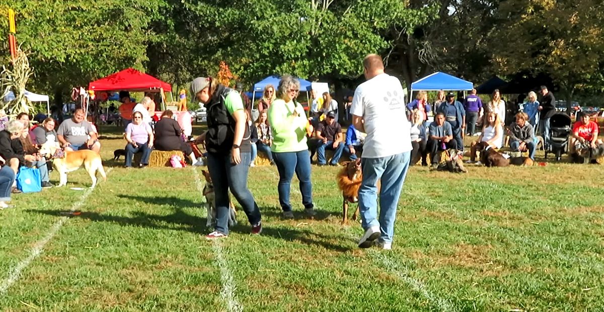 30th Annual Dogtober Fest