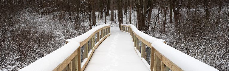 New Years Day Hike @ Lydick Bog