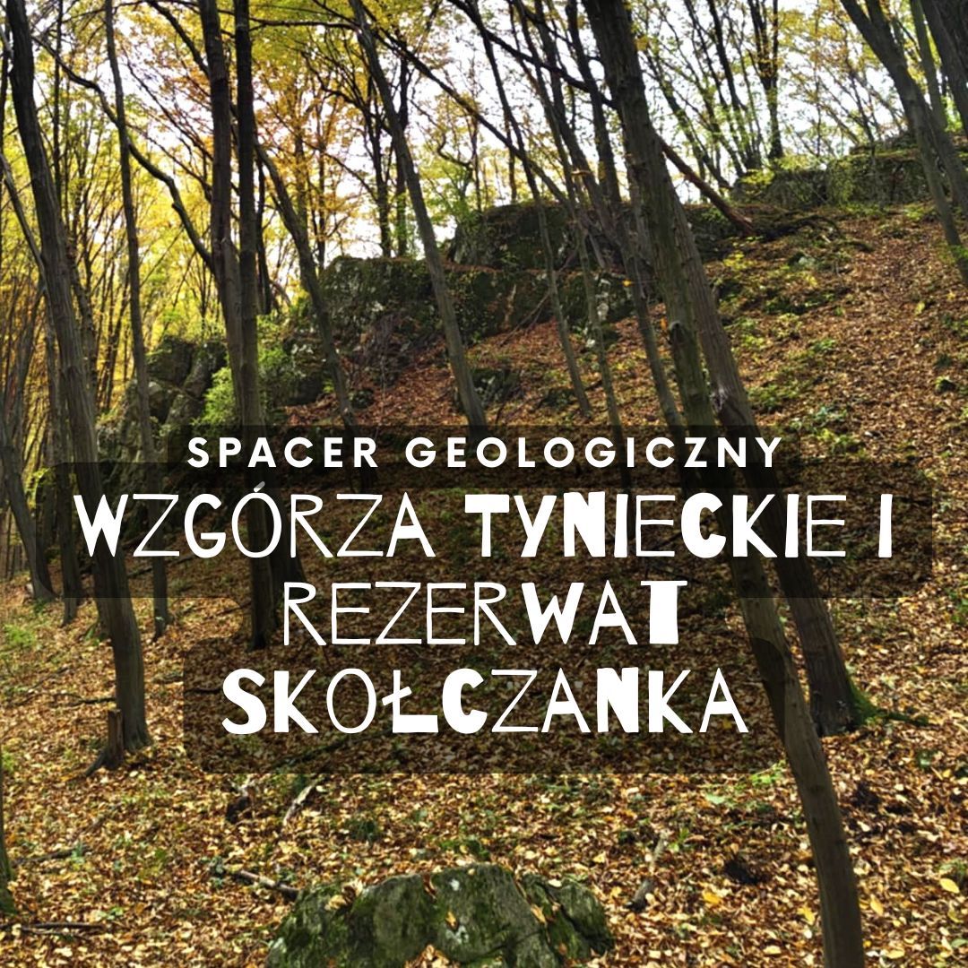 Spacer Geologiczny: Wzg\u00f3rza Tynieckie i Rezerwat Sko\u0142czanka