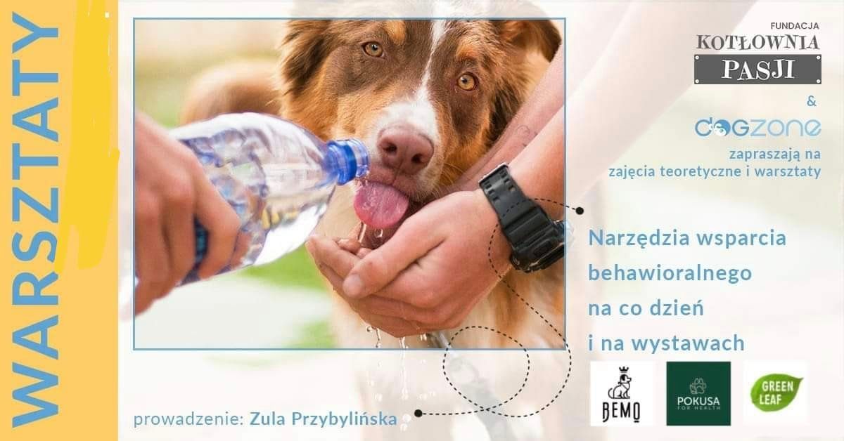 NARZ\u0118DZIA WSPARCIA BEHAWIORALNEGO NA CO DZIE\u0143 I NA WYSTAWACH