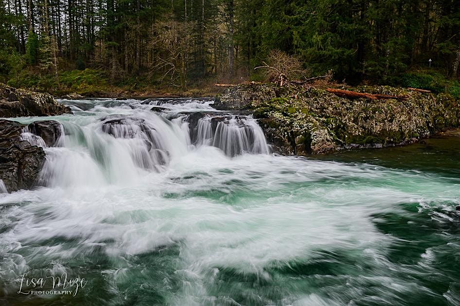 Two Day WOMEN ONLY Photography Workshop to Ridgefield Wildlife Refuge and W