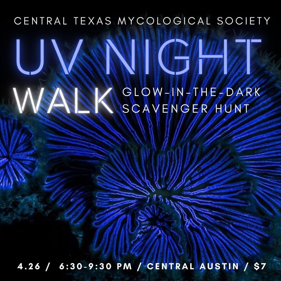 UV Night Walk for City Nature Challenge